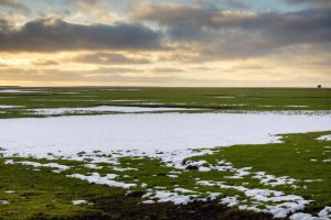 Change to forecast imminent after big freeze brings milder weather conditions
