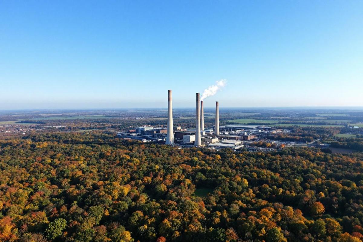 UK wood electricity generation hits record high, Drax data reveals